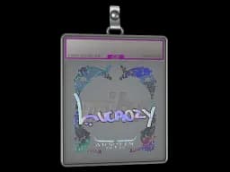 Sticker Slab | Lucaozy (Holo) | Austin 2025