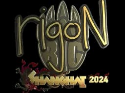 rigoN - CS2 Skin Prices