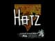 Sticker | hatz (Glitter) | Antwerp 2022 CS2 skin