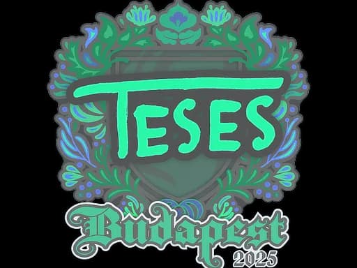Sticker | TeSeS | Budapest 2025