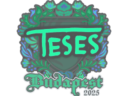 Sticker | TeSeS | Budapest 2025