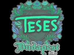 Sticker | TeSeS | Budapest 2025