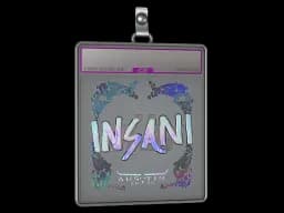 Sticker Slab | insani (Holo) | Austin 2025