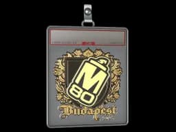 Sticker Slab | M80 (Gold) | Budapest 2025