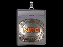 Sticker Slab | NRG (Foil) | Austin 2025