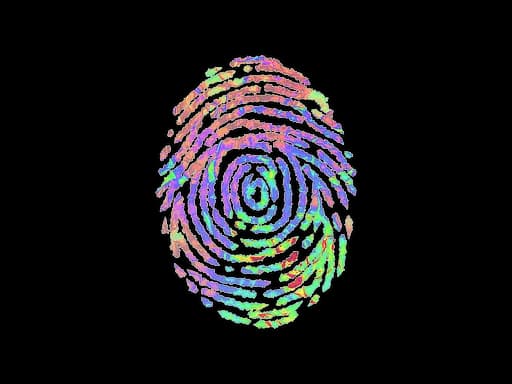 Sticker | Evidence (Holo)