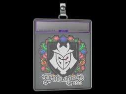 Sticker Slab | G2 esports (Embroidered) | Budapest 2025