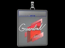 Sticker Slab | GuardiaN | Boston 2018