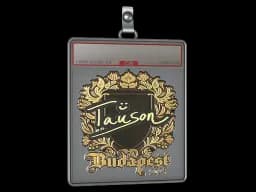 Sticker Slab | Tauson (Gold) | Budapest 2025