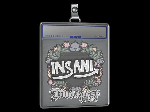 Sticker Slab | insani | Budapest 2025