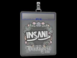 Sticker Slab | insani | Budapest 2025