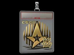 Sticker Slab | Astralis (Gold) | 2020 RMR