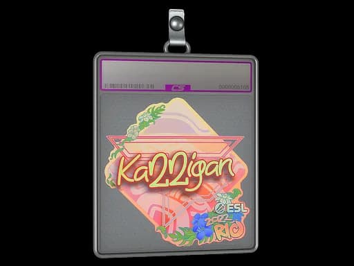 Sticker Slab | karrigan (Holo) | Rio 2022