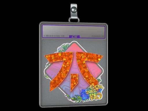 Sticker Slab | Fnatic (Glitter) | Rio 2022