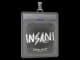 Sticker Slab | insani | Austin 2025 CS2 skin