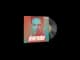 Music Kit | Darude, Moments CSGO CS2 skin