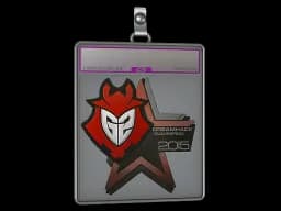 Sticker Slab | G2 Esports (Foil) | Cluj-Napoca 2015