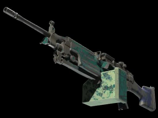 M249 | Shipping Forecast (Battle-Scarred)