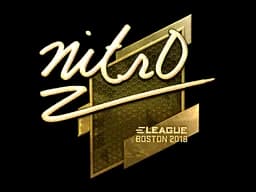 nitr0 - CS2 Skin Prices