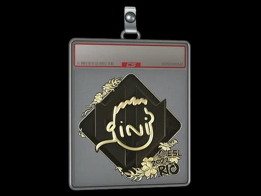 Sticker Slab | VINI (Gold) | Rio 2022