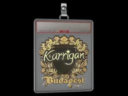 Sticker Slab | karrigan (Gold) | Budapest 2025