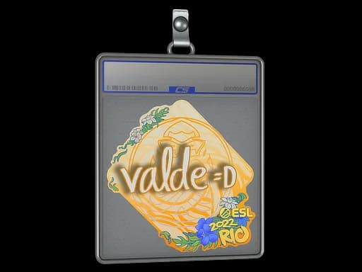 Sticker Slab | v4lde | Rio 2022