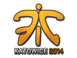 Fnatic (Holo) | Katowice 2014