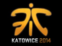Fnatic - CS2 Skin Prices