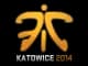 Sticker | Fnatic | Katowice 2014 CS2 skin