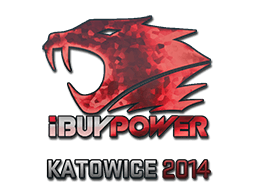 iBUYPOWER (Holo) | Katowice 2014