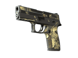 P250 | Contamination (Battle-Scarred)