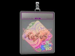 Sticker Slab | TeSeS (Holo) | Rio 2022
