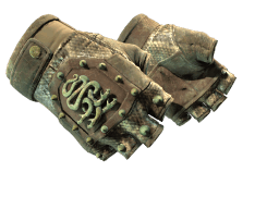 ★ Hydra Gloves | Rattler (Battle-Scarred)