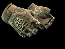 ★ Hydra Gloves | Rattler CS2 skin