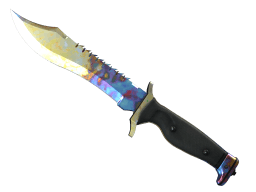 ★ Bowie Knife | Case Hardened (Minimal Wear)
