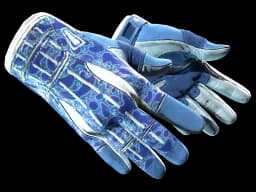★ Sport Gloves | Amphibious CS2 skin