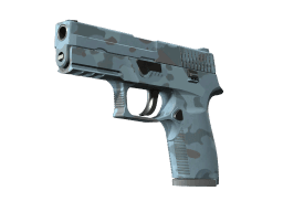 P250 | Forest Night (Factory New)