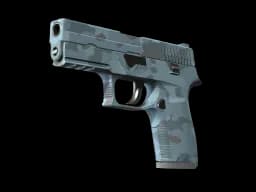 P250 | Forest Night (Factory New)