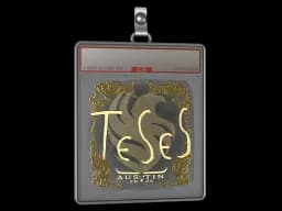 Sticker Slab | TeSeS (Gold) | Austin 2025