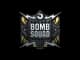 Sticker | Bomb Squad CS2 skin