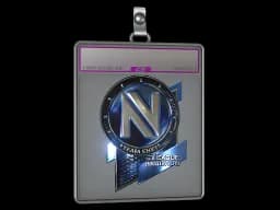 Sticker Slab | Team EnVyUs (Foil) | Boston 2018
