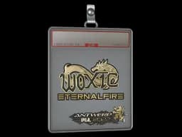 Sticker Slab | woxic (Gold) | Antwerp 2022