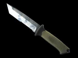 ★ StatTrak™ Ursus Knife | Stained (Field-Tested)