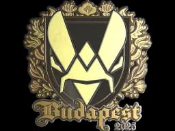 Sticker | Vitality (Gold) | Budapest 2025