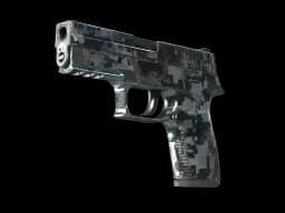 P250 | Steel Disruption (Field-Tested)