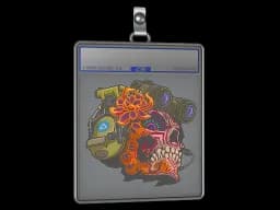 Sticker Slab | Lucas