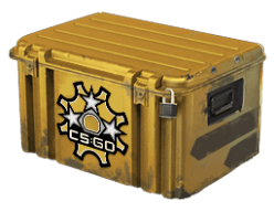Revolver Case