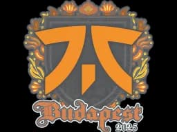 Sticker | fnatic | Budapest 2025