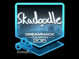 Skadoodle (Foil) | Cluj-Napoca 2015