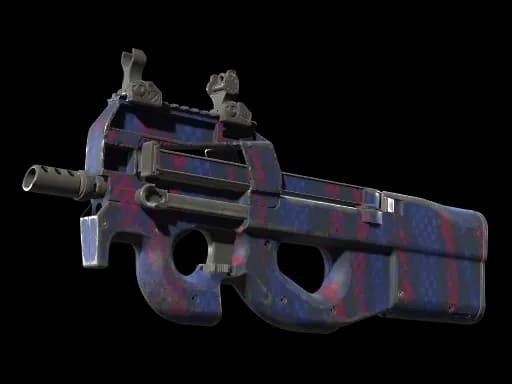 P90 | Teardown (Well-Worn)